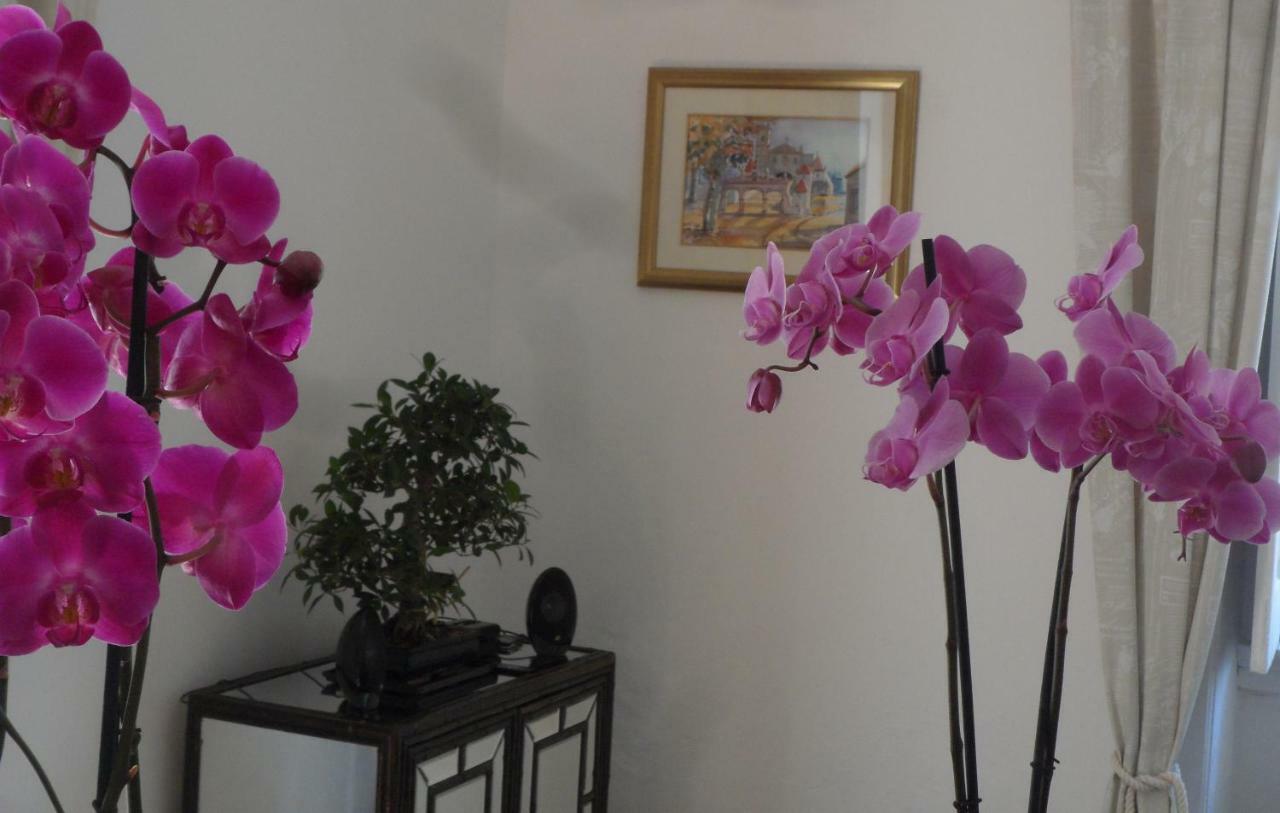 Casa Coimbra Hotel Luaran gambar